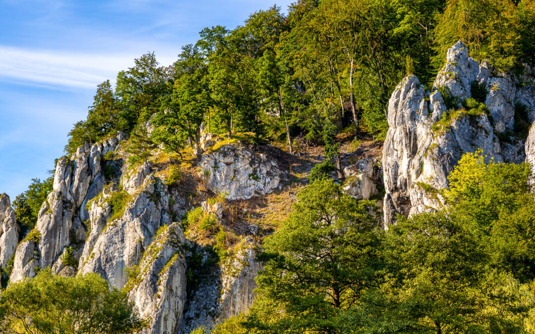 Jurassic limestone rocks and dense greenery of Prądnik Creek Valley
